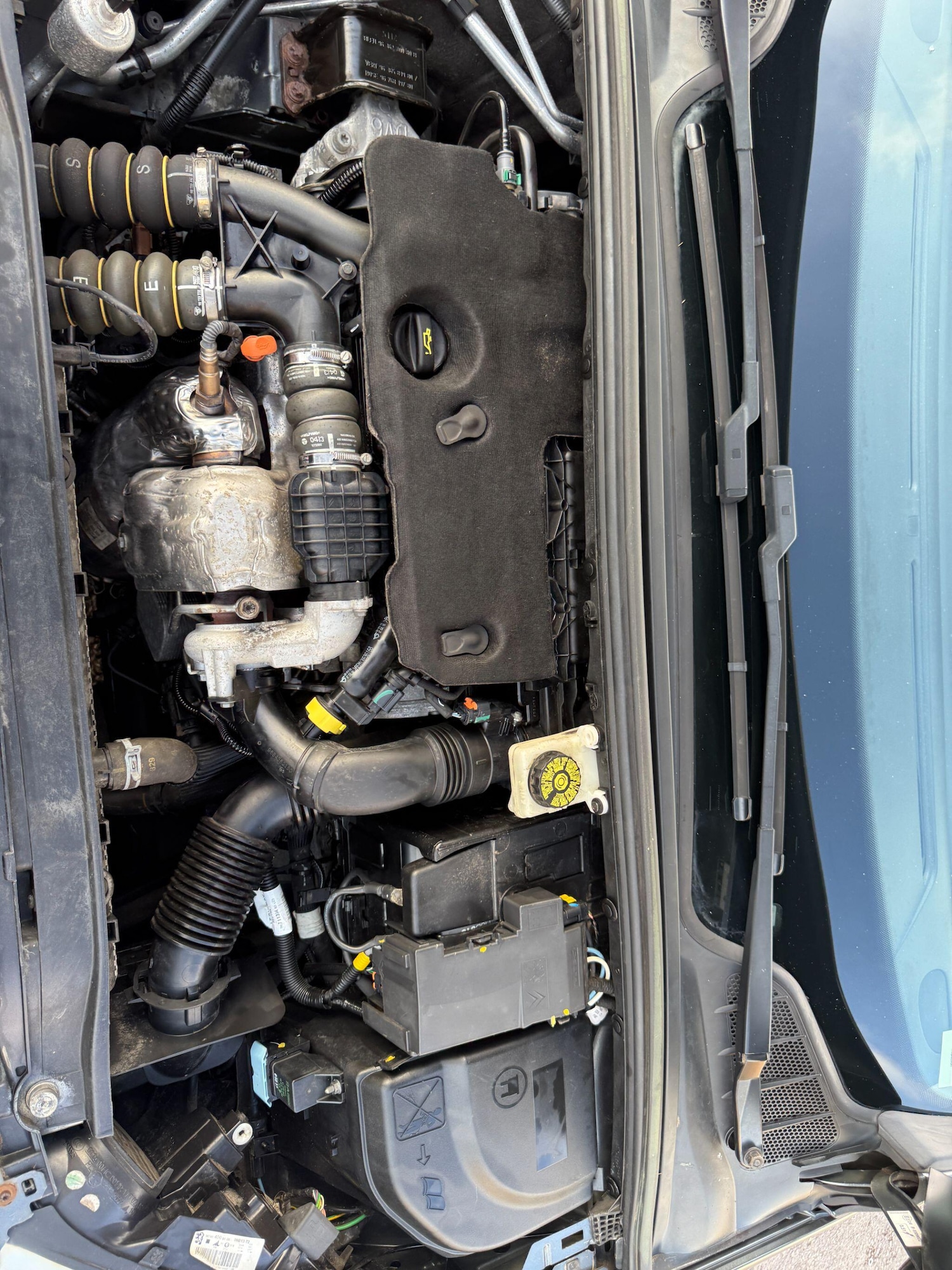 Used Peugeot 308 2013 for sale - 76572121: Photo 55