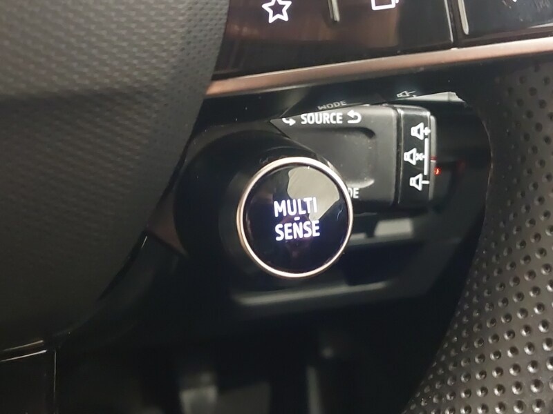 Used Renault Austral 2024 for sale - 77209551: Photo 17