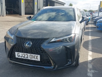 Used Lexus UX 2023 for sale - 79433301: Photo