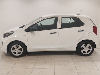 Used Kia Picanto 2023 for sale - 79044382: Photo