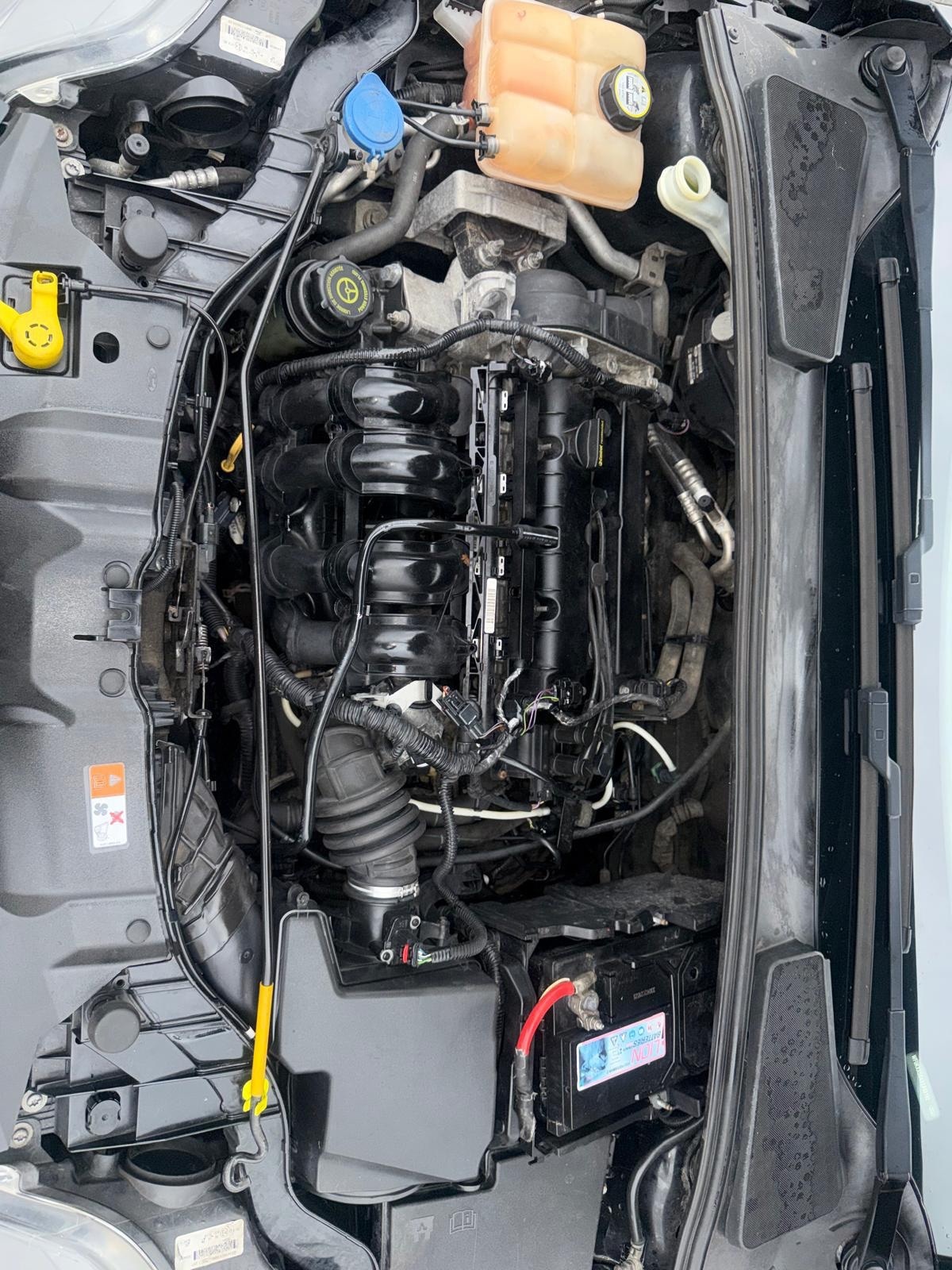 Used Ford Focus 2014 for sale - 77645674: Photo 23