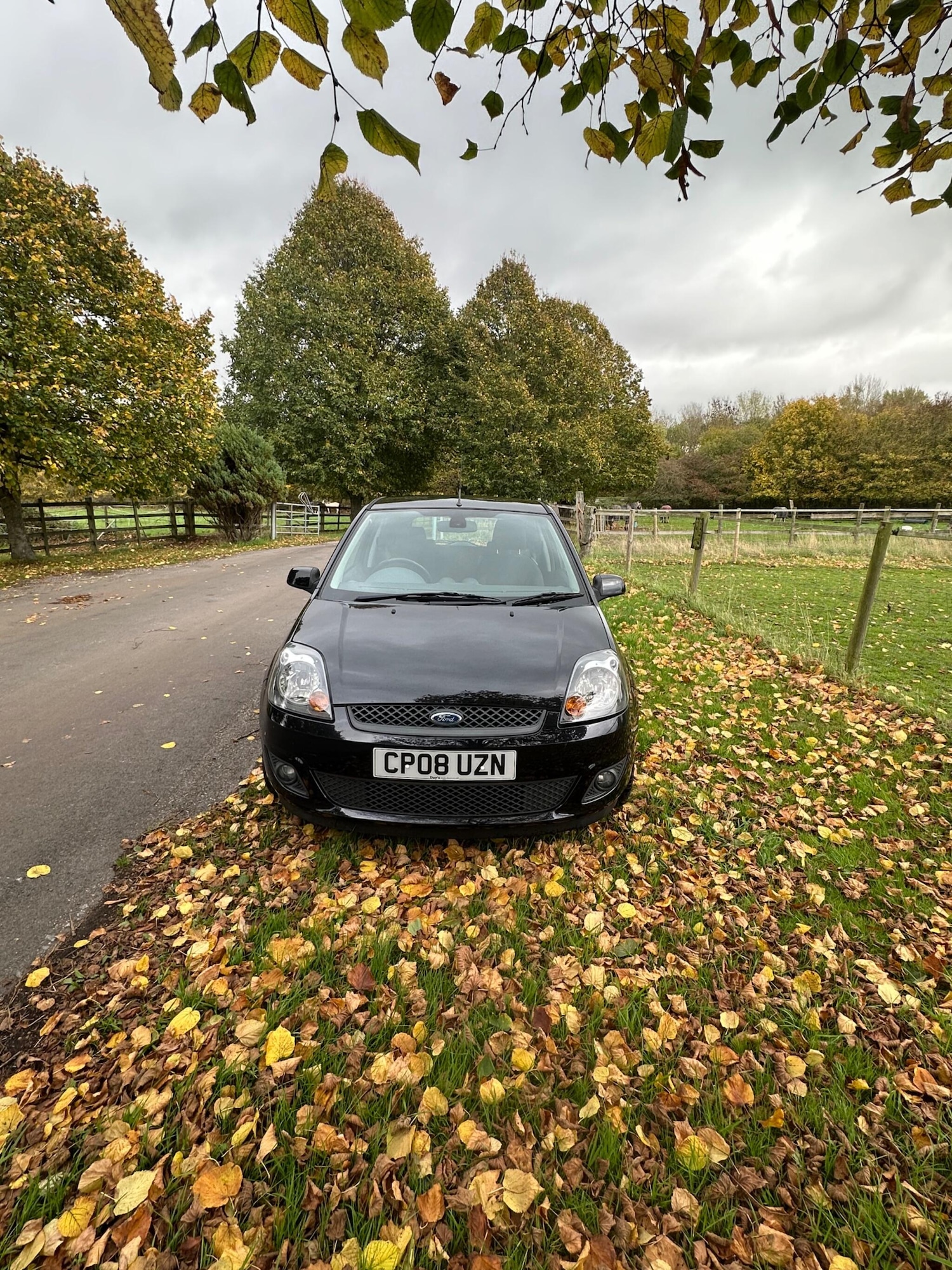 Used Ford Fiesta 2008 for sale - 76389215: Photo 2