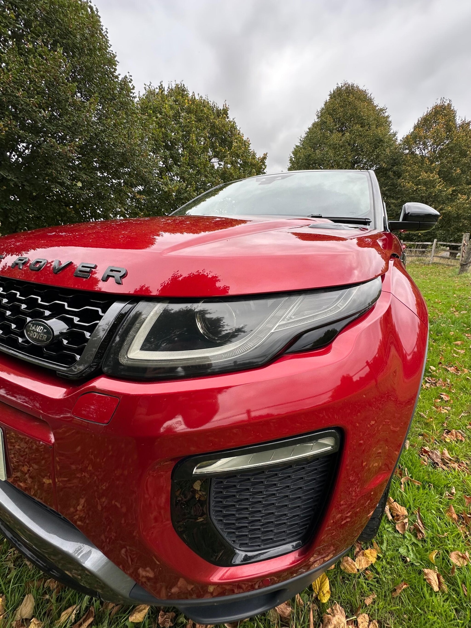 Used Land Rover Range Rover Evoque for sale - 76997729: Photo 26