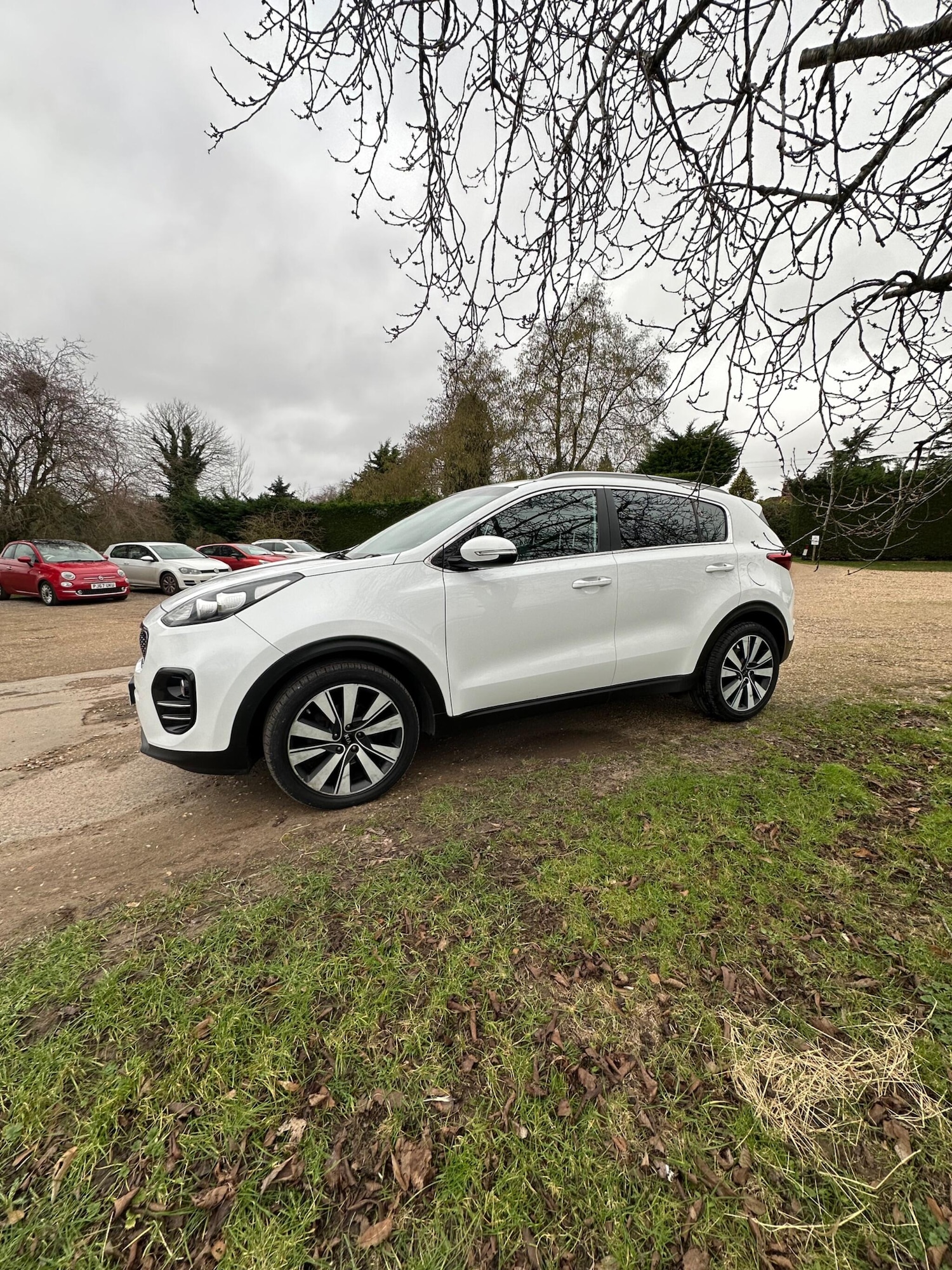 Used Kia Sportage for sale - 77597809: Photo 10