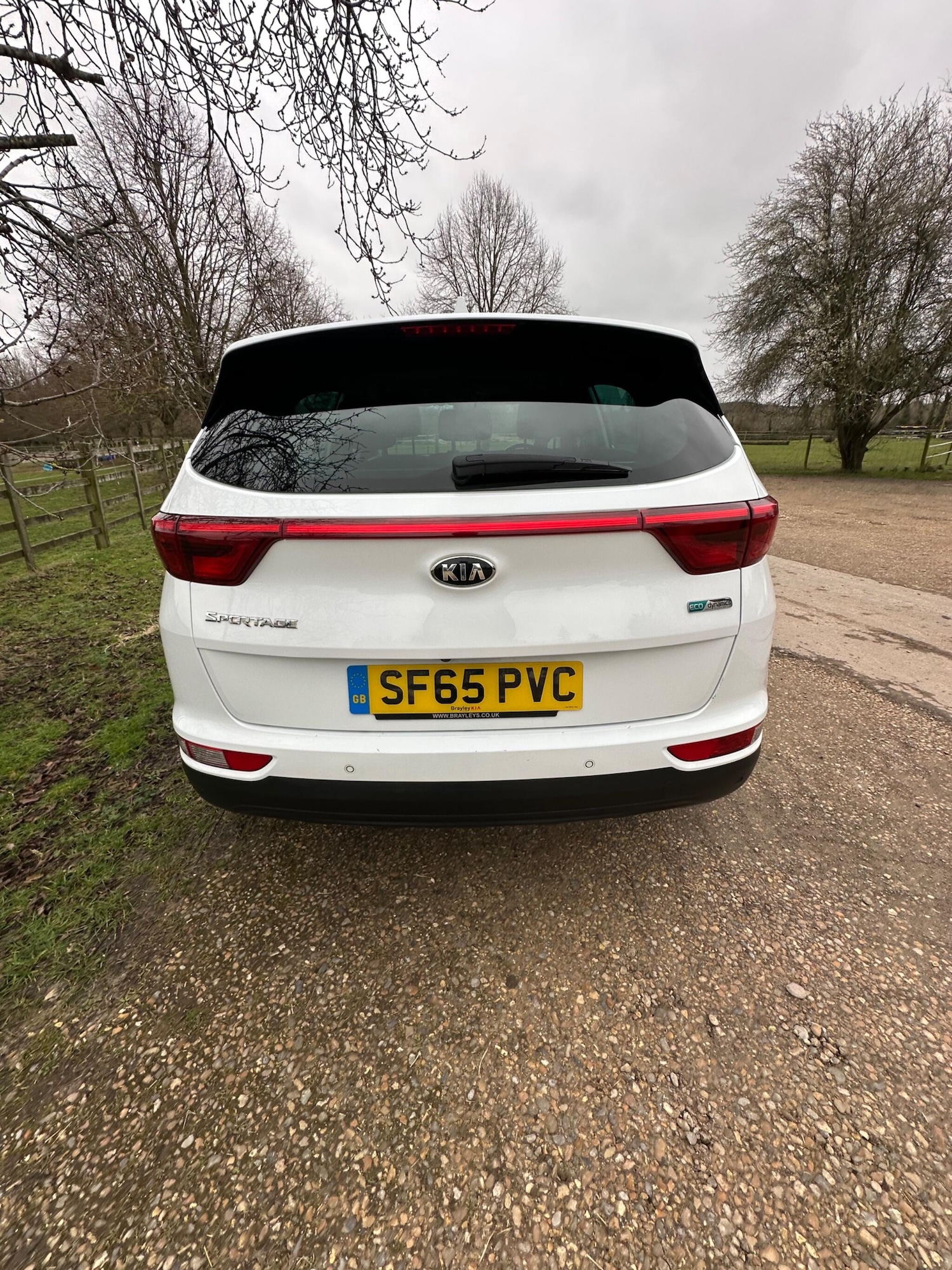 Used Kia Sportage for sale - 77597809: Photo 11