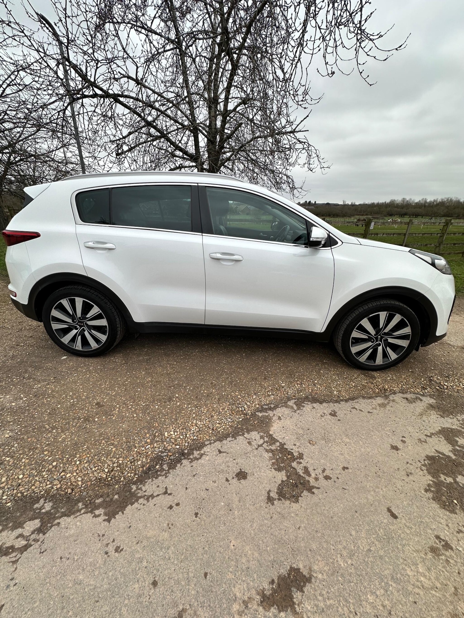 Used Kia Sportage for sale - 77597809: Photo 13