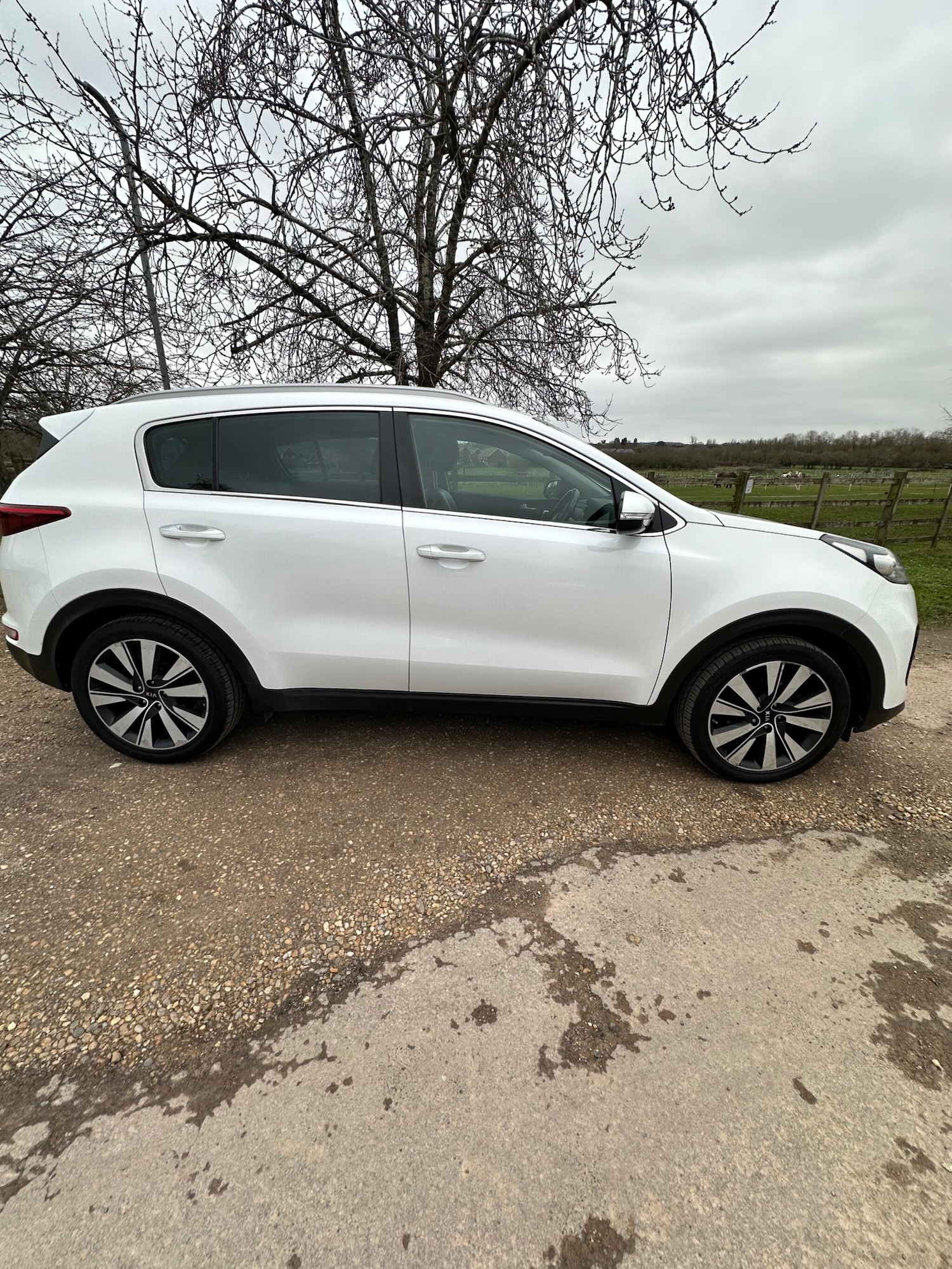 Used Kia Sportage for sale - 77597809: Photo 14