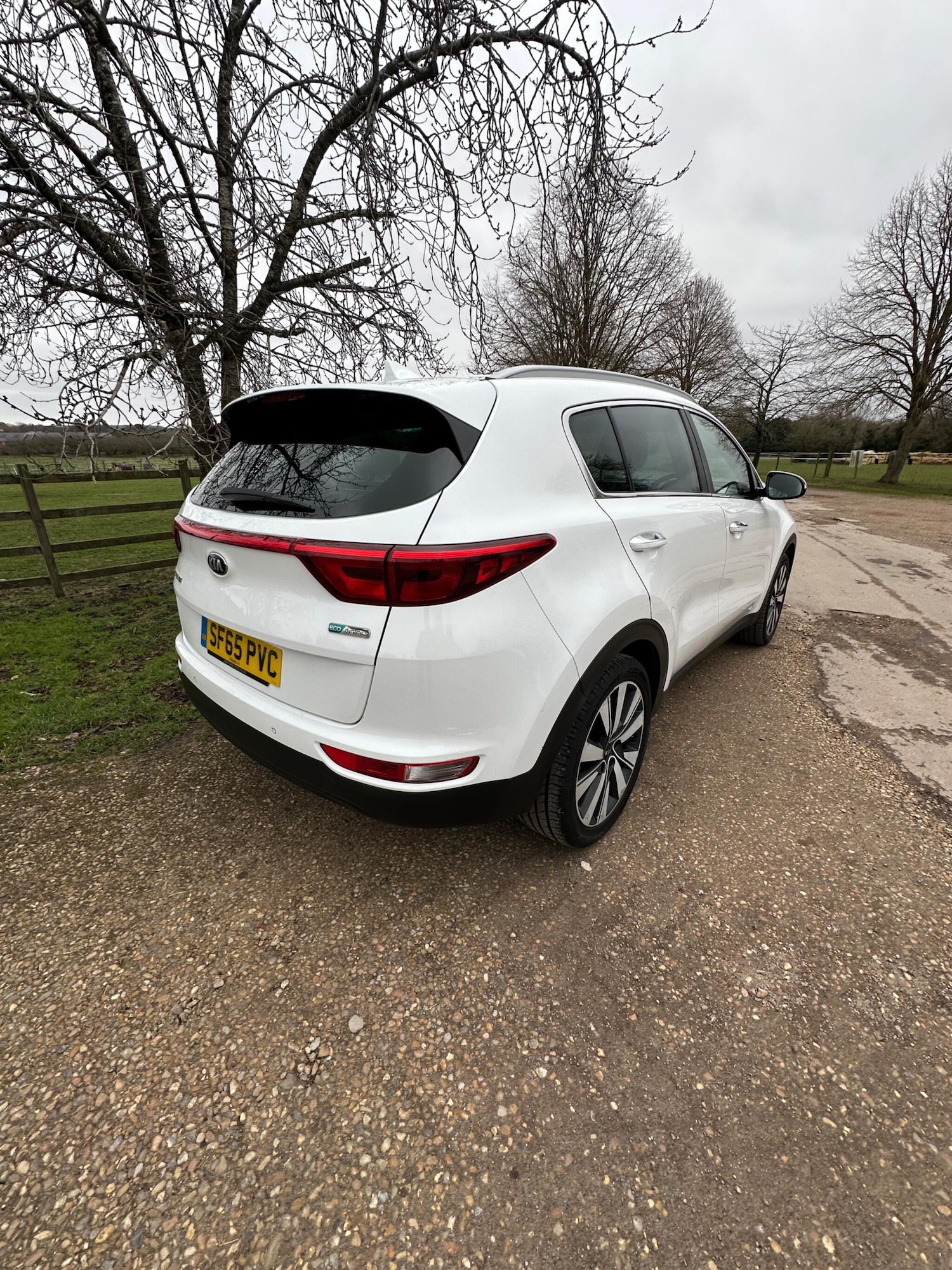 Used Kia Sportage for sale - 77597809: Photo 17