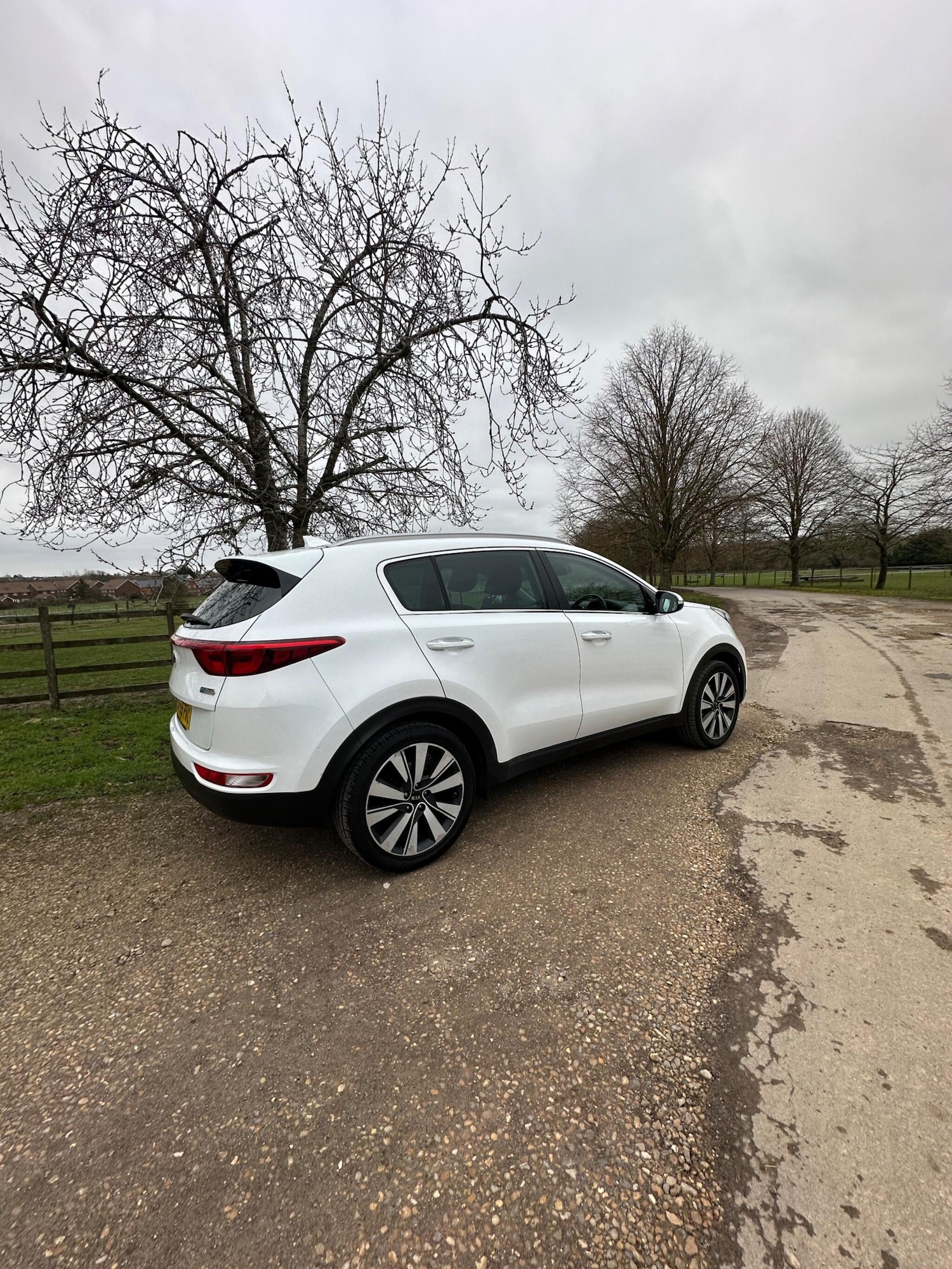 Used Kia Sportage for sale - 77597809: Photo 18