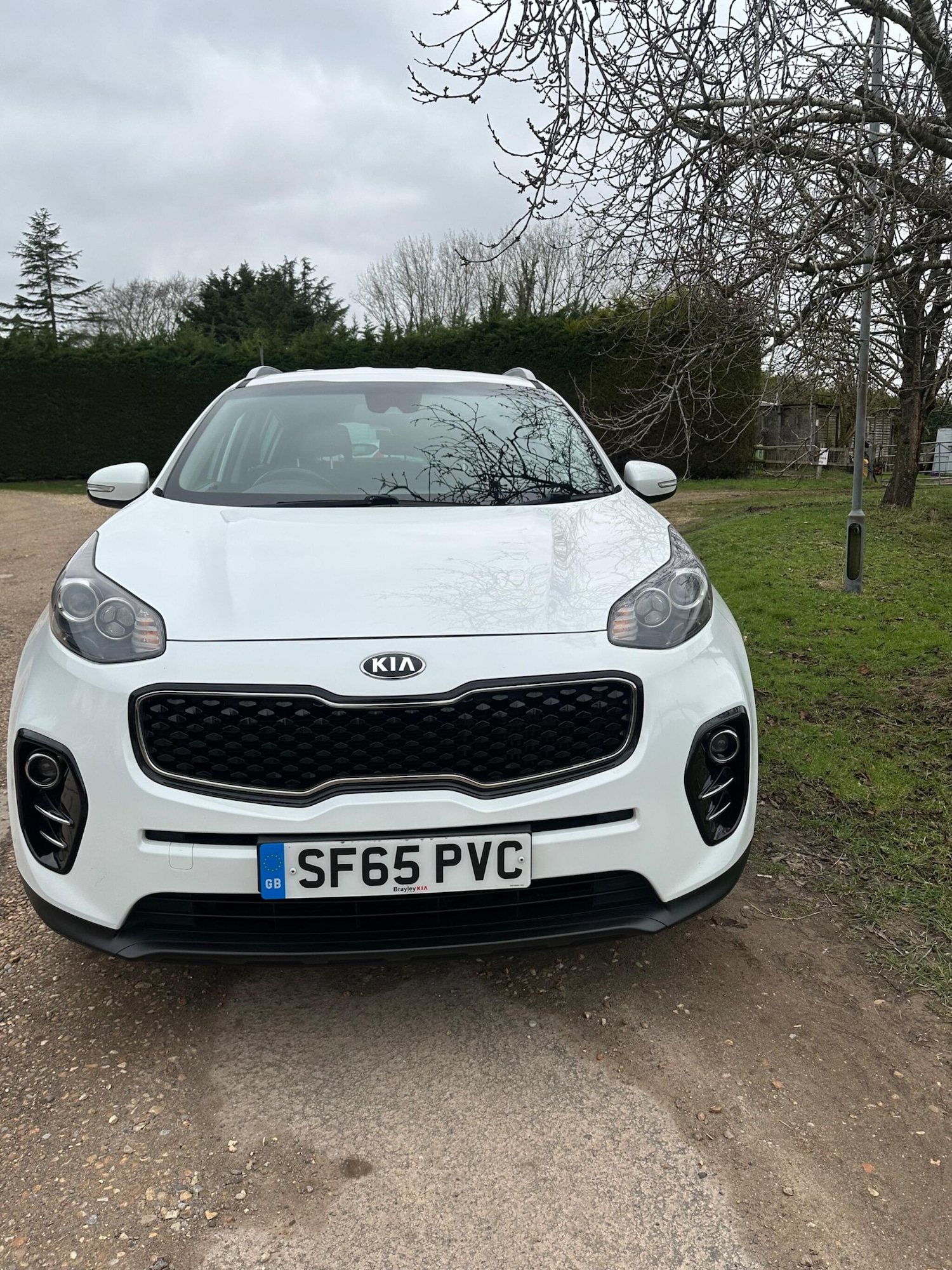 Used Kia Sportage for sale - 77597809: Photo 2