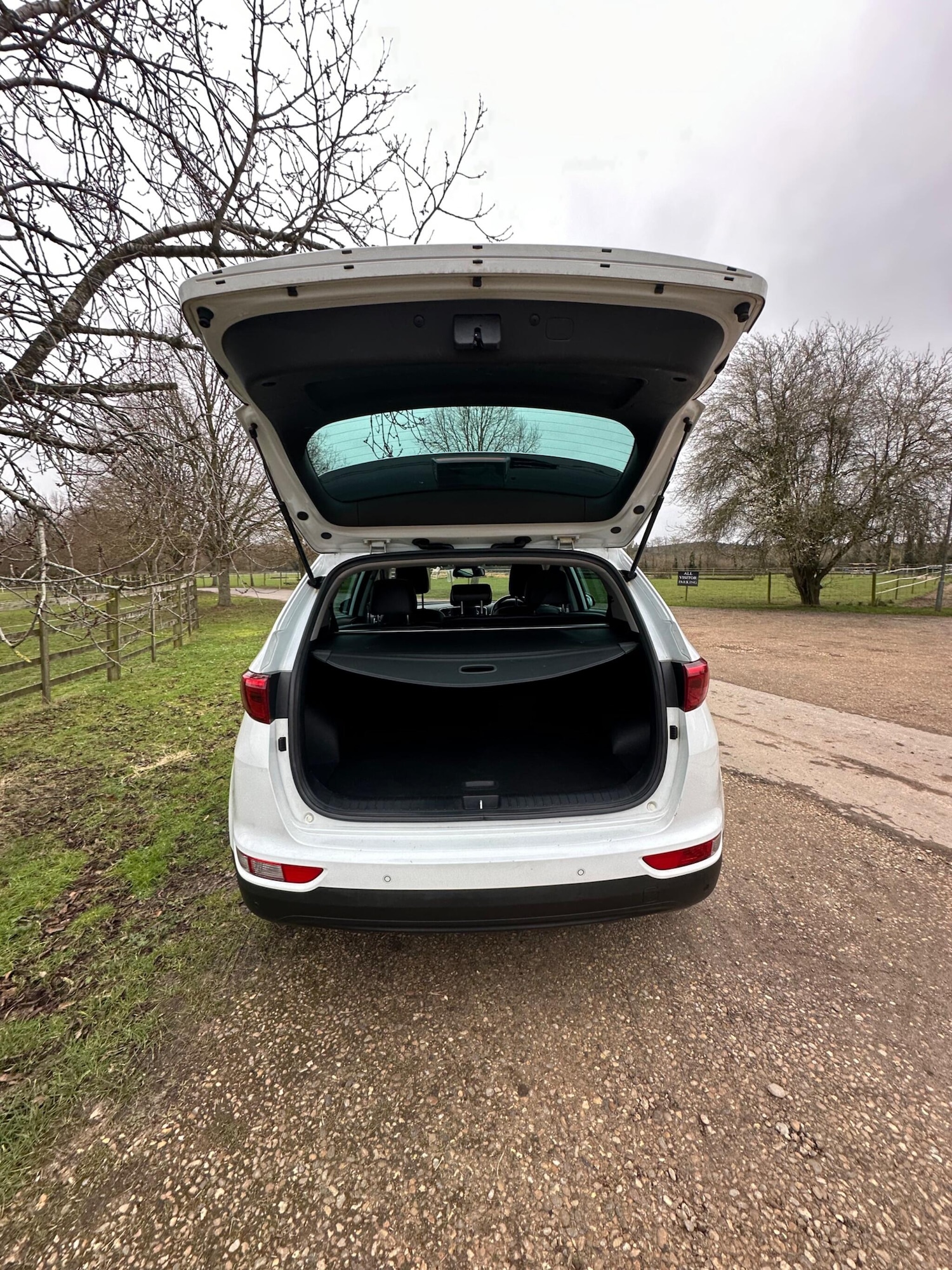 Used Kia Sportage for sale - 77597809: Photo 33