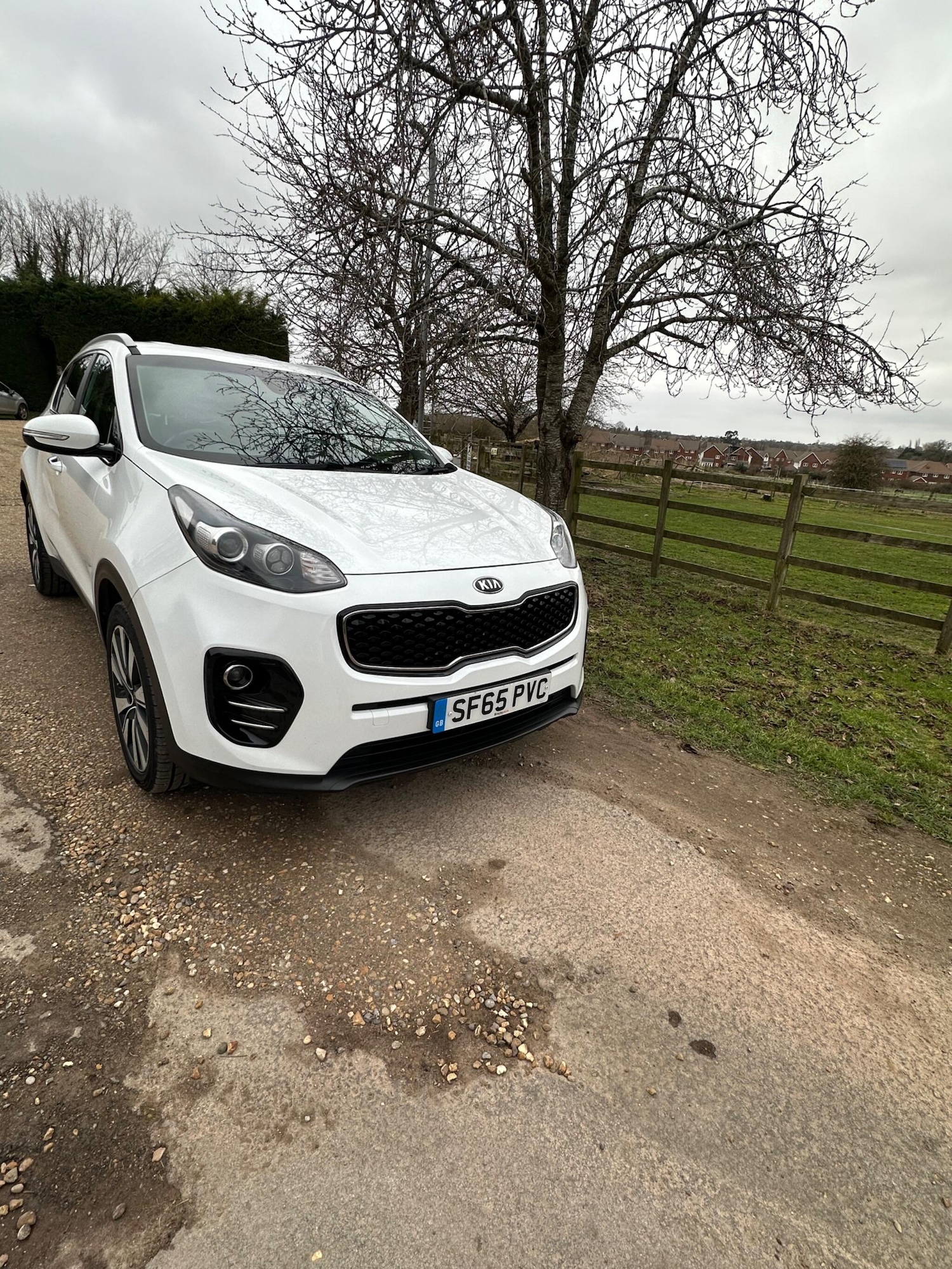 Used Kia Sportage for sale - 77597809: Photo 5