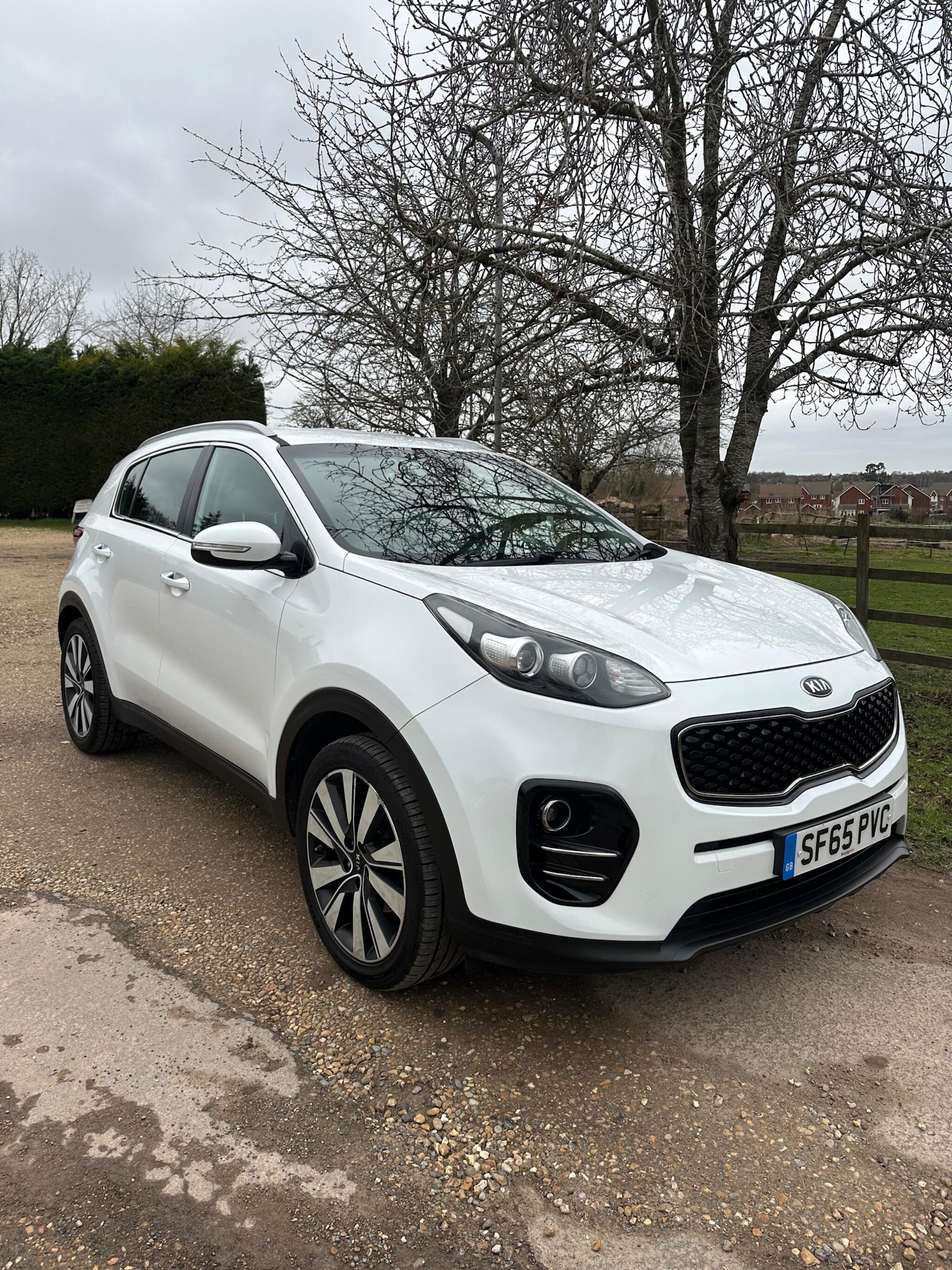 Used Kia Sportage for sale - 77597809: Photo 7