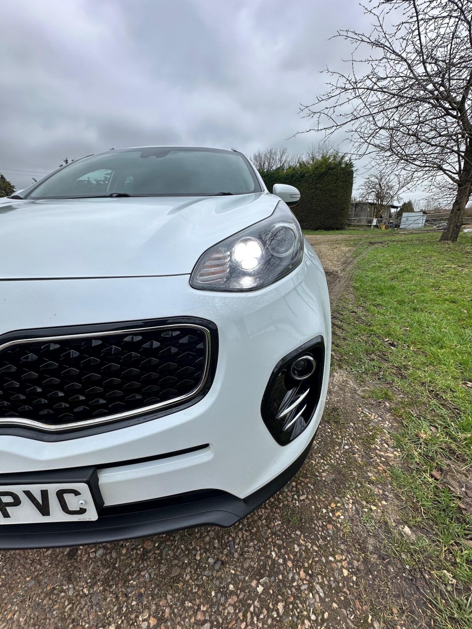 Used Kia Sportage for sale - 77597809: Photo 8