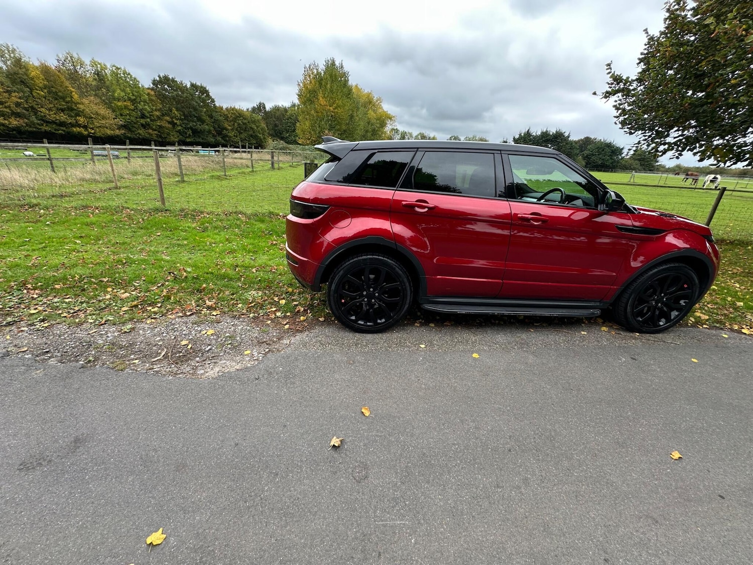 Used Land Rover Range Rover Evoque 2017 for sale - 76214528: Photo 30