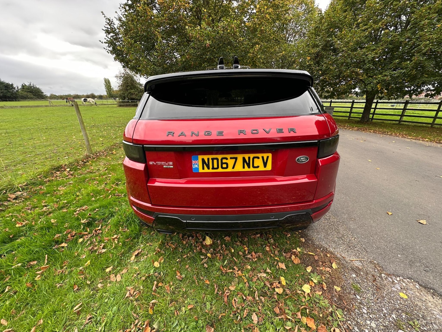 Used Land Rover Range Rover Evoque 2017 for sale - 76214528: Photo 6