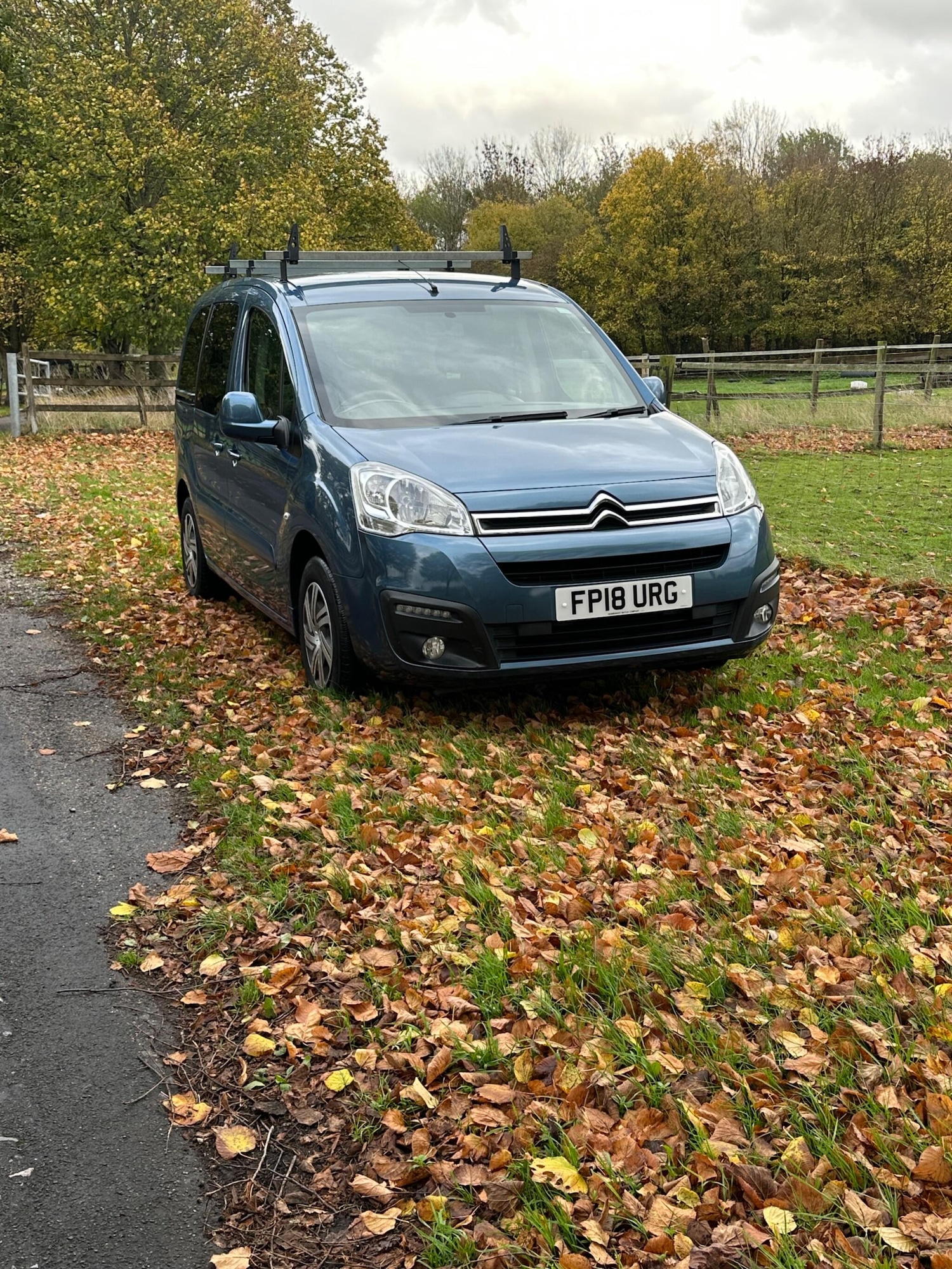 Used Citroen Berlingo Multispace 2018 for sale - 76473475: Photo 1