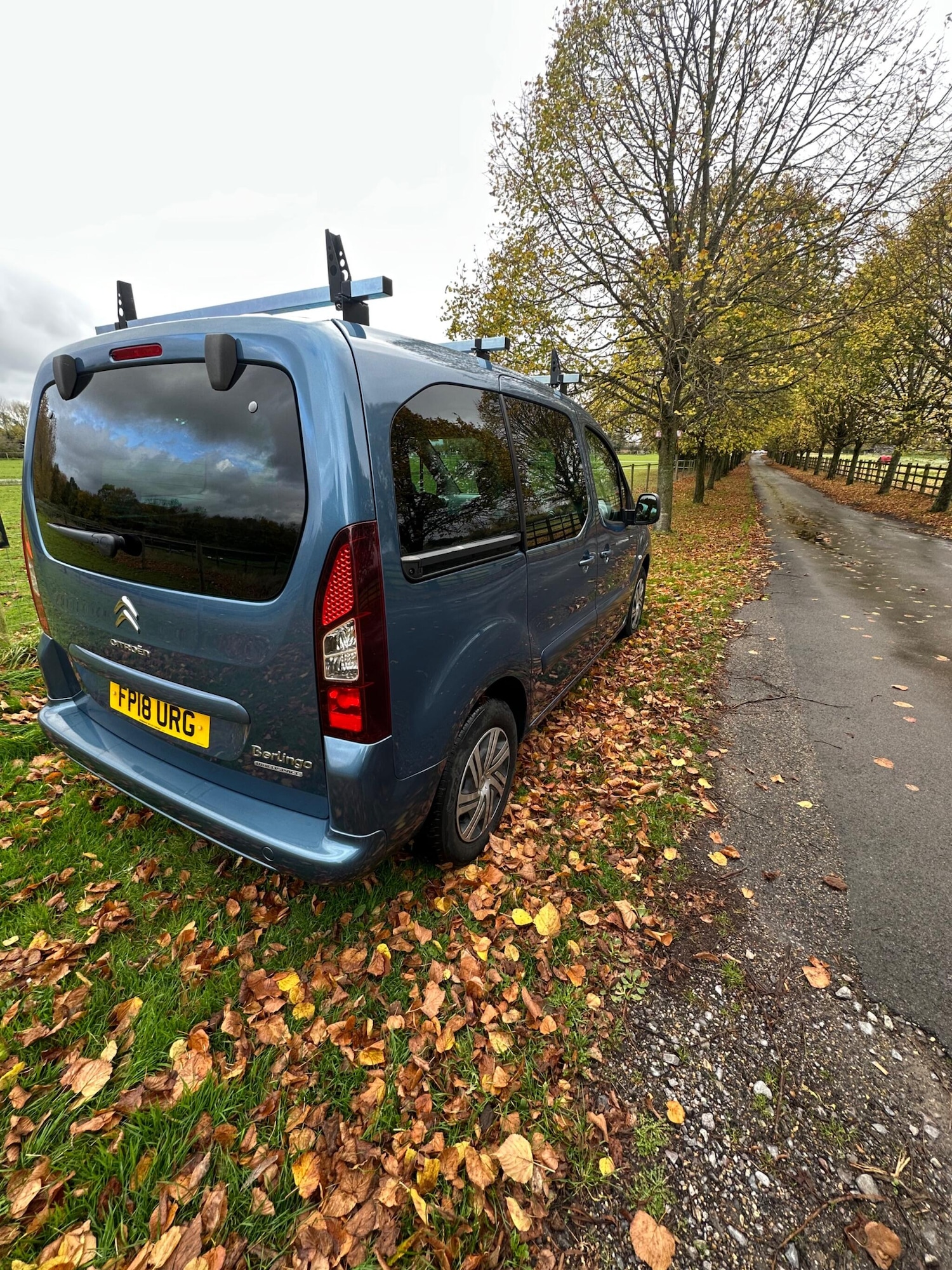 Used Citroen Berlingo Multispace 2018 for sale - 76473475: Photo 11