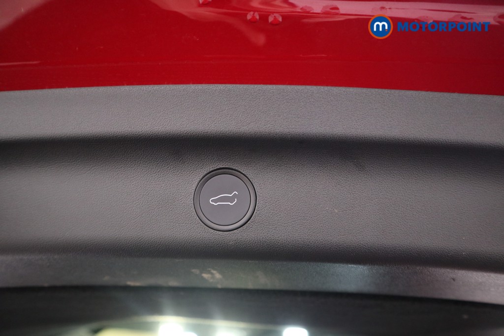 Used Tesla Model Y 2023 for sale - 77830820: Photo 30