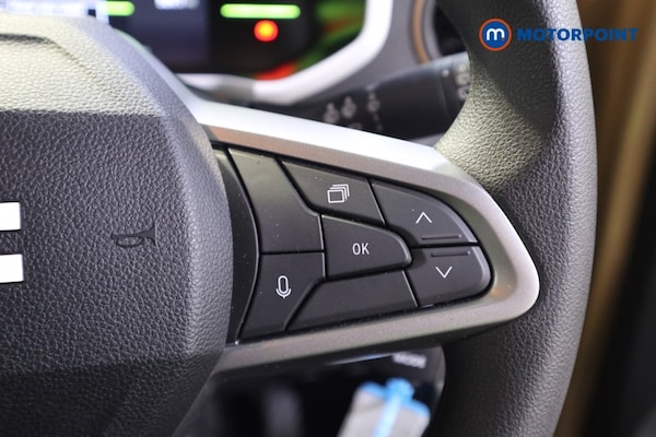 Used Dacia Spring 2025 for sale - 76278812: Photo 14