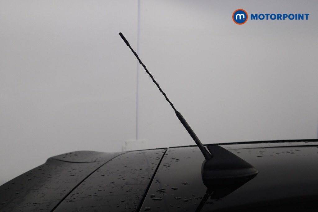 Used Ford Fiesta 2019 for sale - 77604453: Photo 41