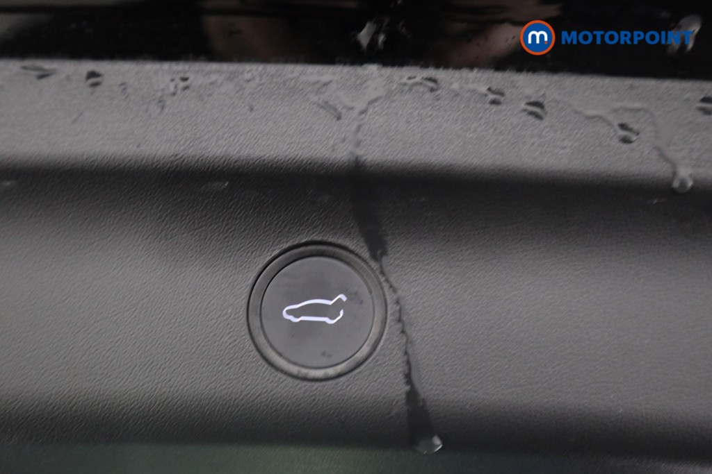 Used Tesla Model Y 2024 for sale - 77804782: Photo 30