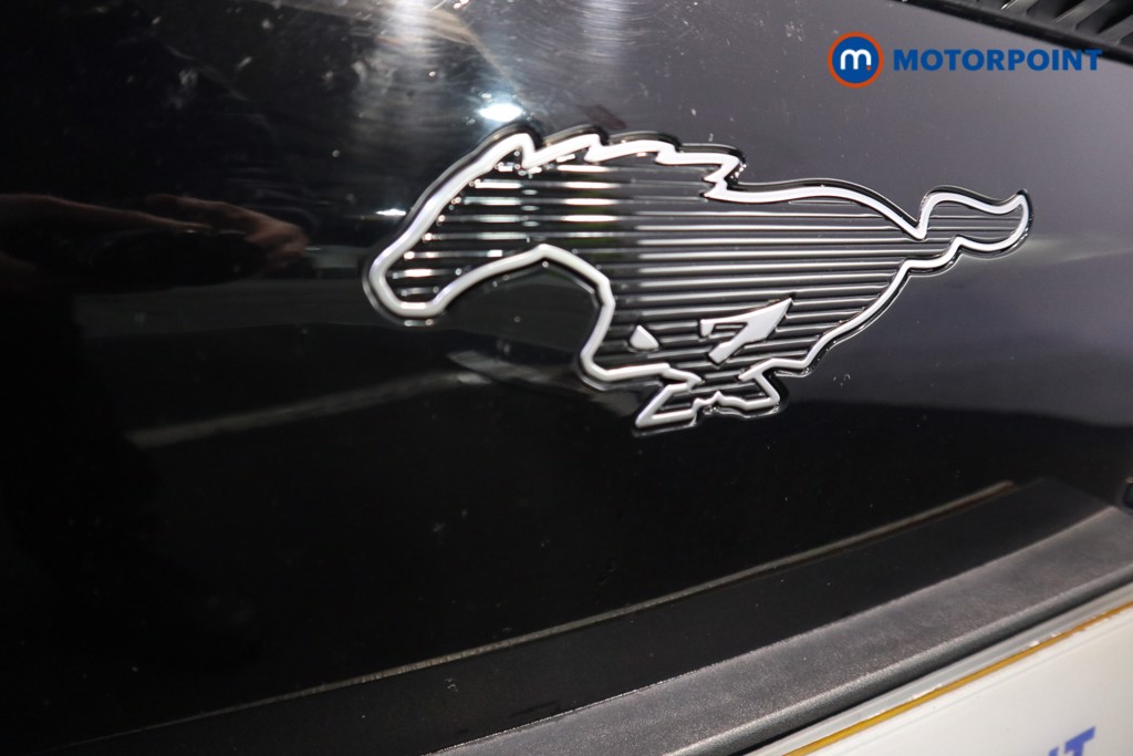 Used Ford Mustang Mach-E 2022 for sale - 77849048: Photo 50