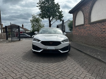 Used SEAT Leon 2024 for sale - 78653294: Photo