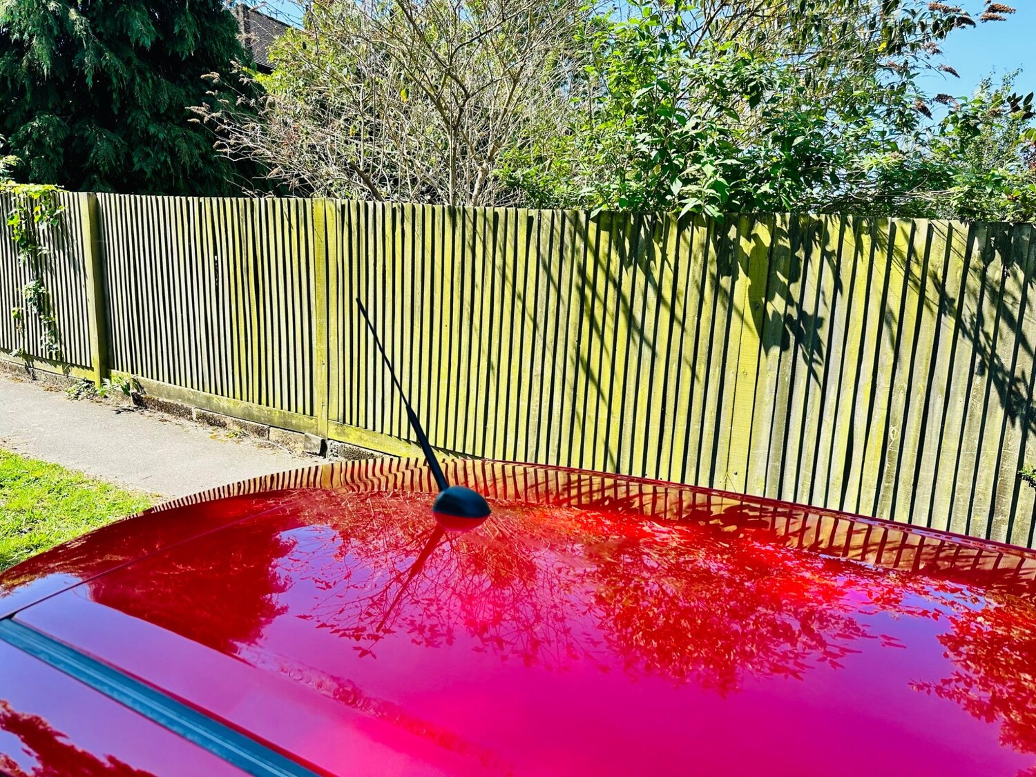 Used Suzuki Swift 2019 for sale - 76152849: Photo 67