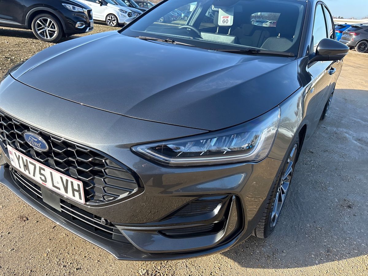 Used Ford Focus 2025 for sale - 77517127: Photo 13