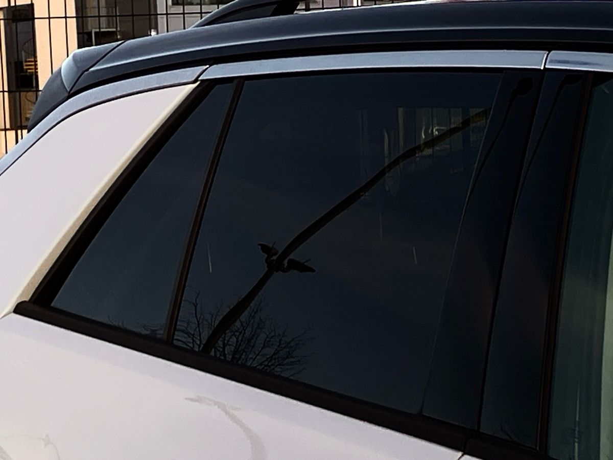 Used Volkswagen T-Roc 2019 for sale - 76792539: Photo 36