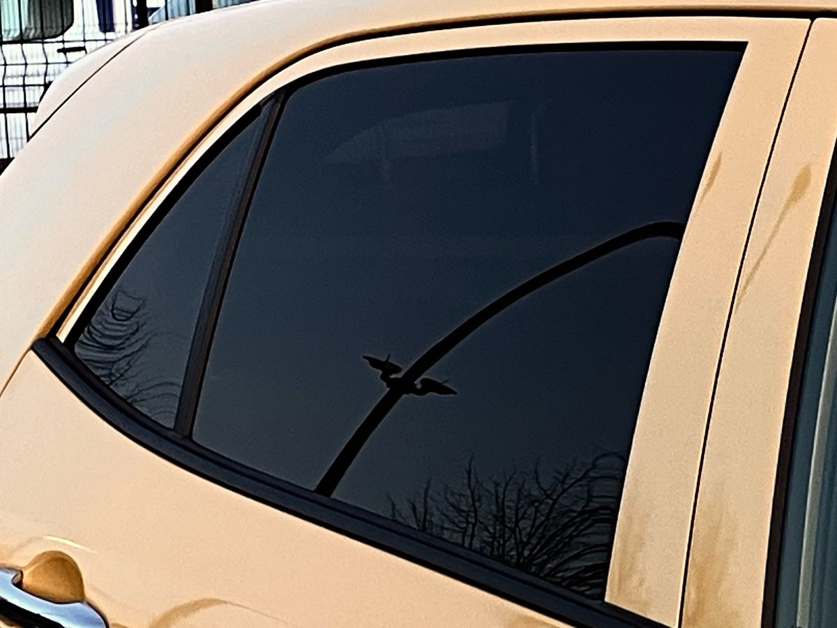 Used Kia Picanto 2024 for sale - 76777506: Photo 37