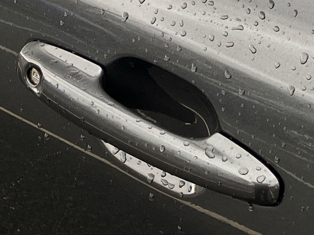 Used Ford Focus 2025 for sale - 77077569: Photo 40