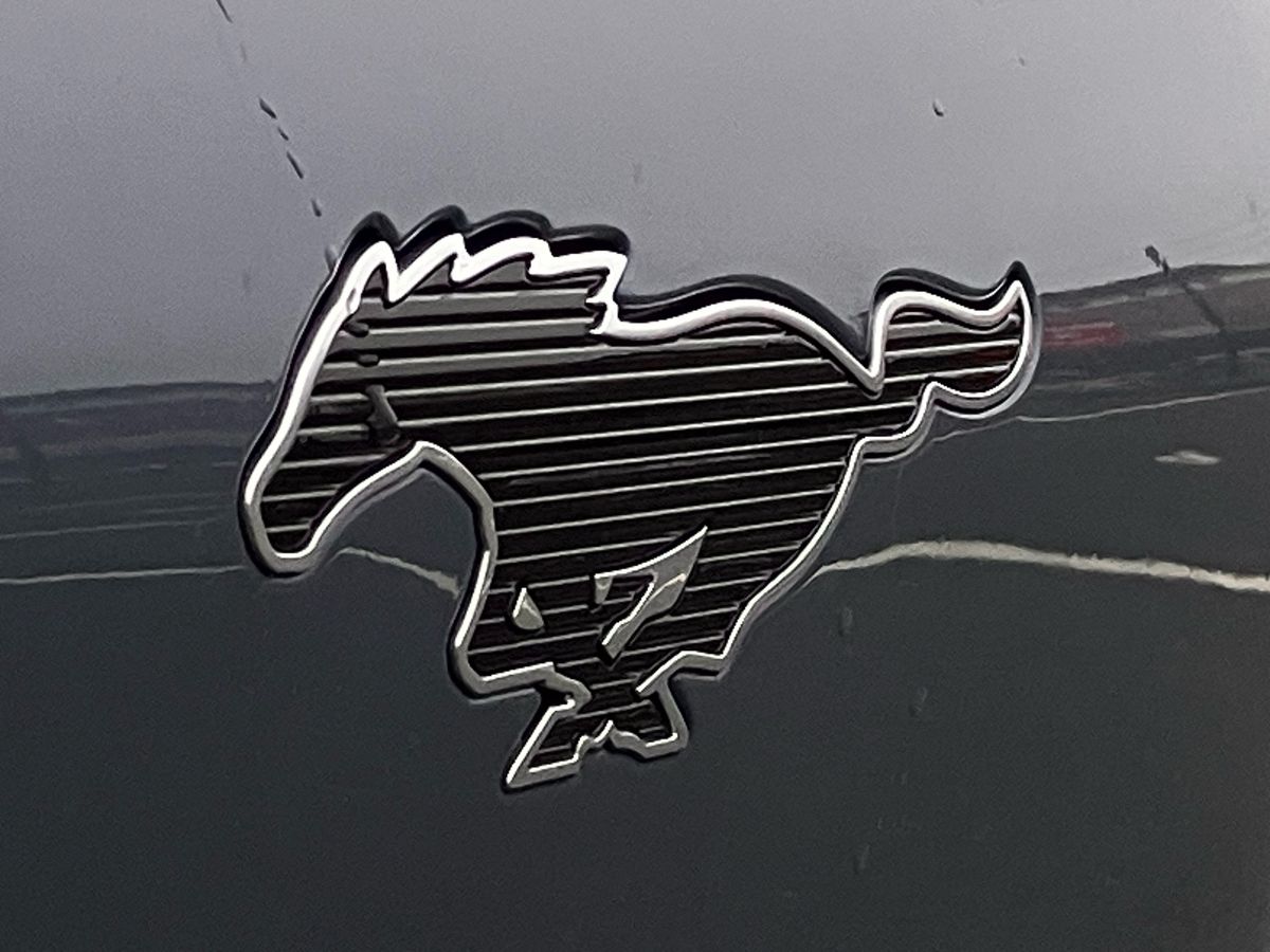 Used Ford Mustang Mach-E 2024 for sale - 77271657: Photo 46