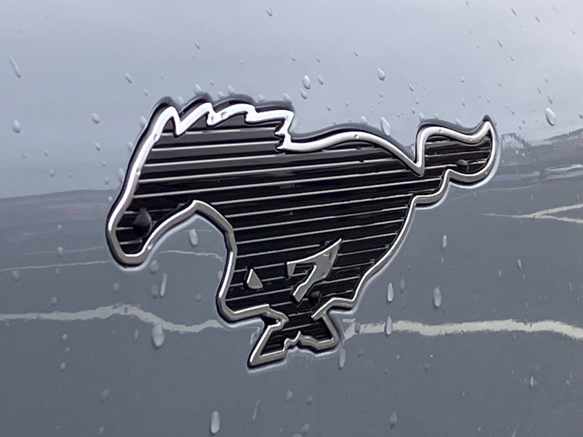 Used Ford Mustang Mach-E 2025 for sale - 77180219: Photo 41