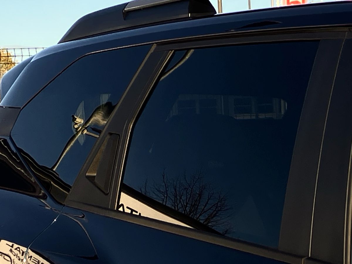 Used Dacia Bigster 2025 for sale - 76638204: Photo 50