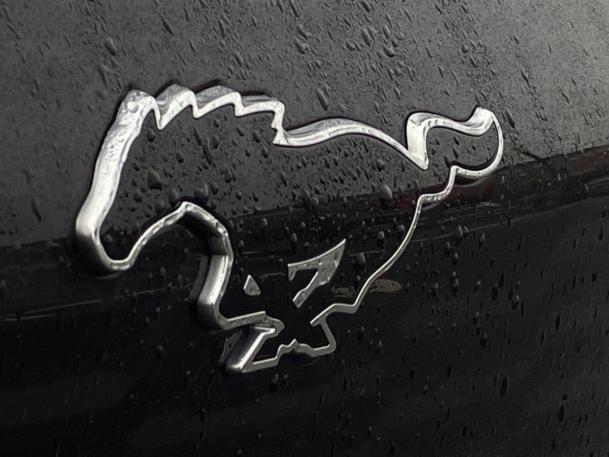 Used Ford Mustang Mach-E 2025 for sale - 77045874: Photo 44