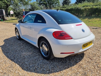 Used Volkswagen Beetle 2014 for sale - 75635649: Photo