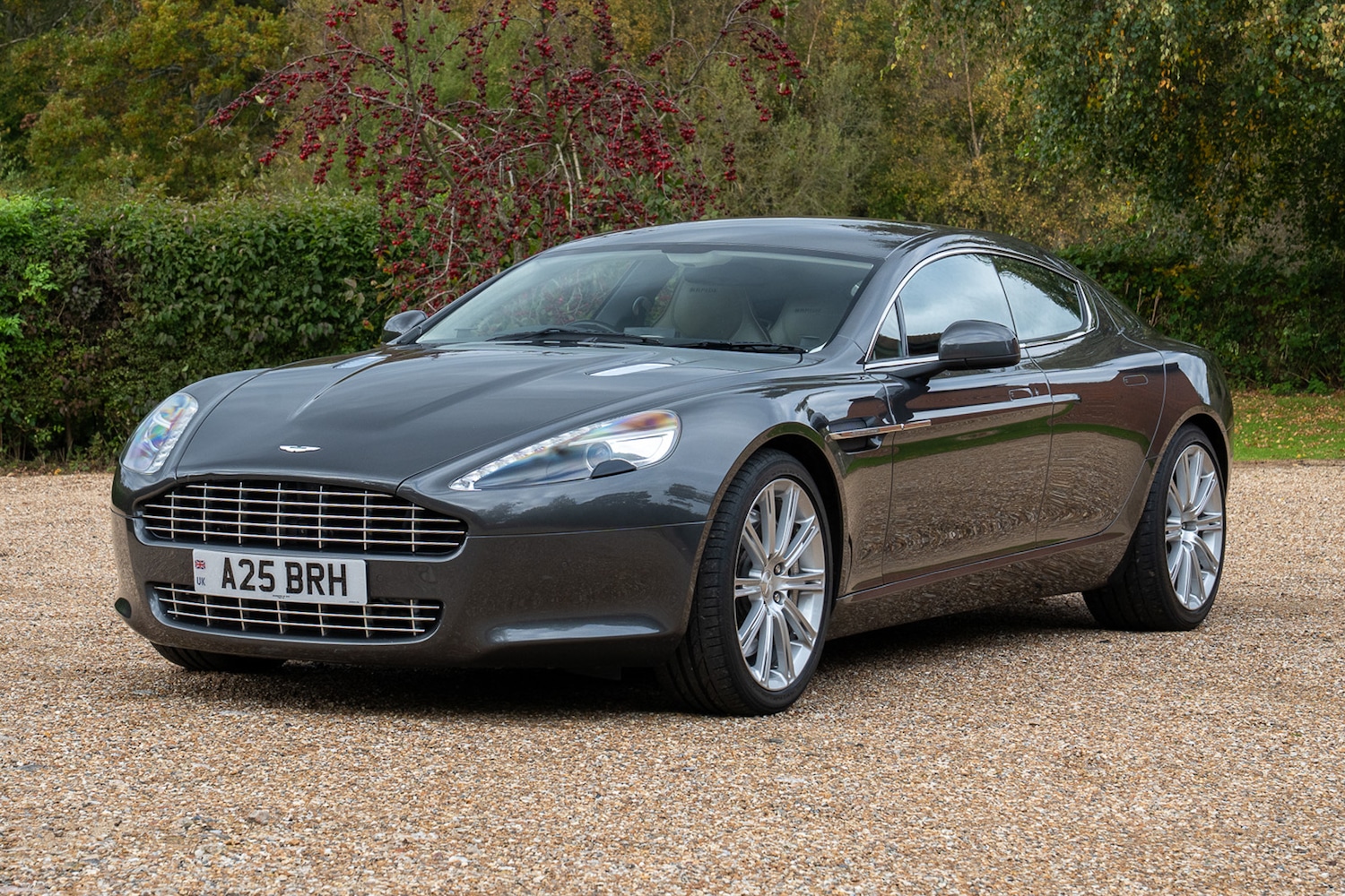 Used Aston Martin Rapide 2010 for sale - 76418433: Photo 1