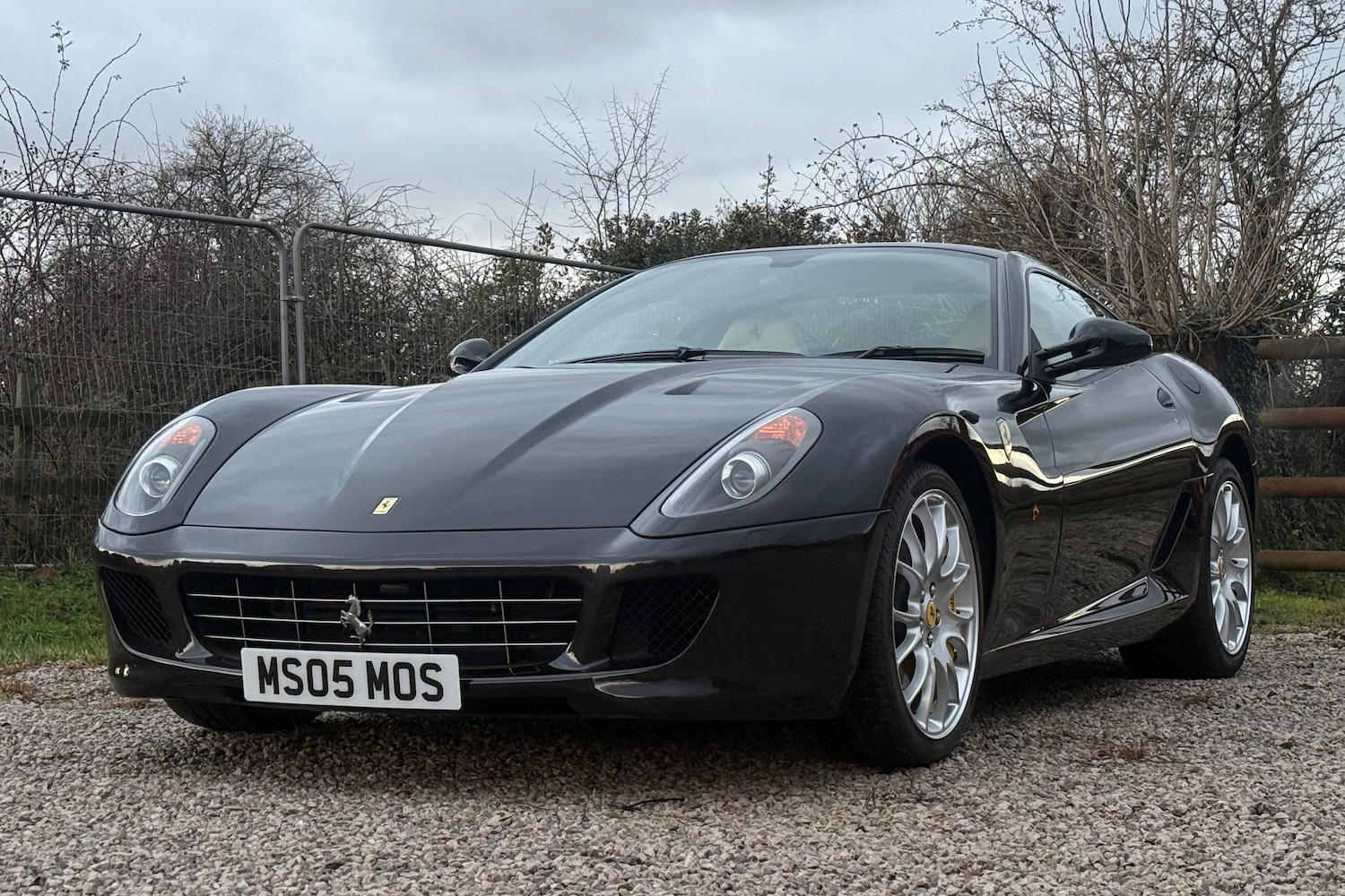 Used Ferrari 599 2009 for sale - 76941840: Photo 1