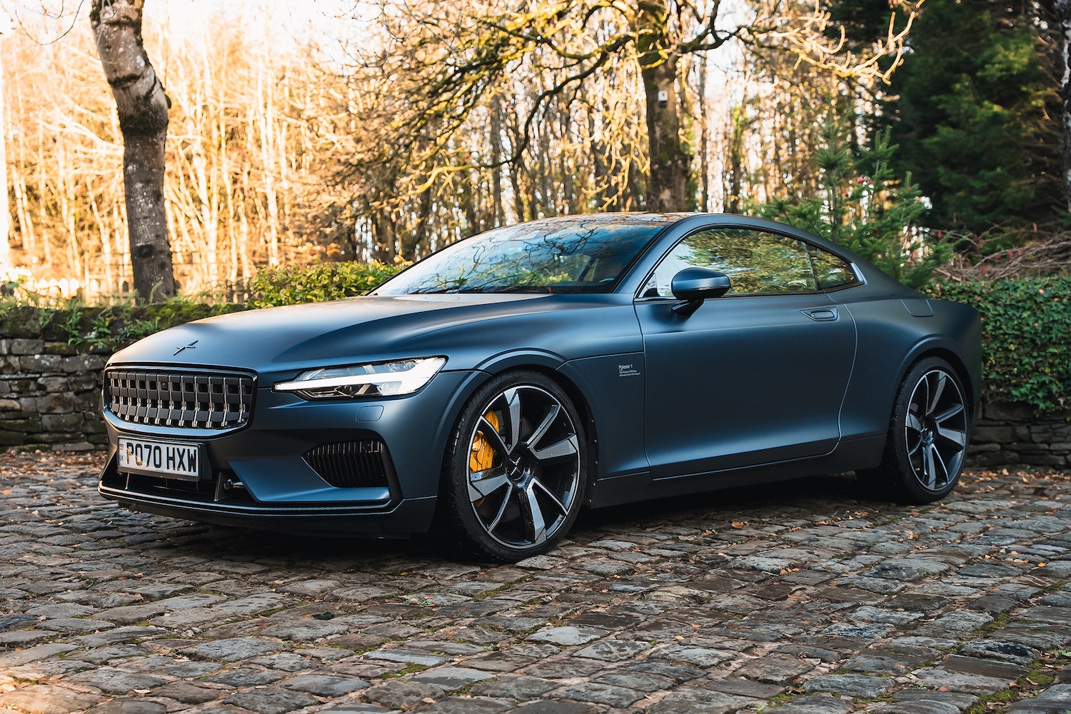 Used Polestar Polestar 1 2024 for sale - 76666236: Photo 1