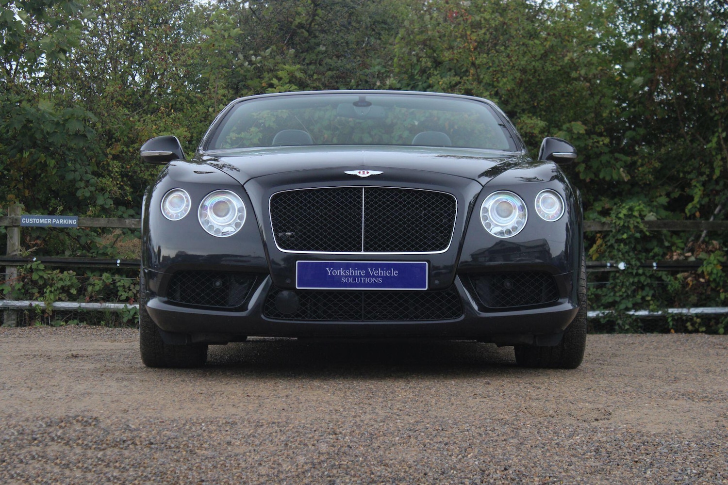 Used Bentley Continental for sale - 76991411: Photo 43