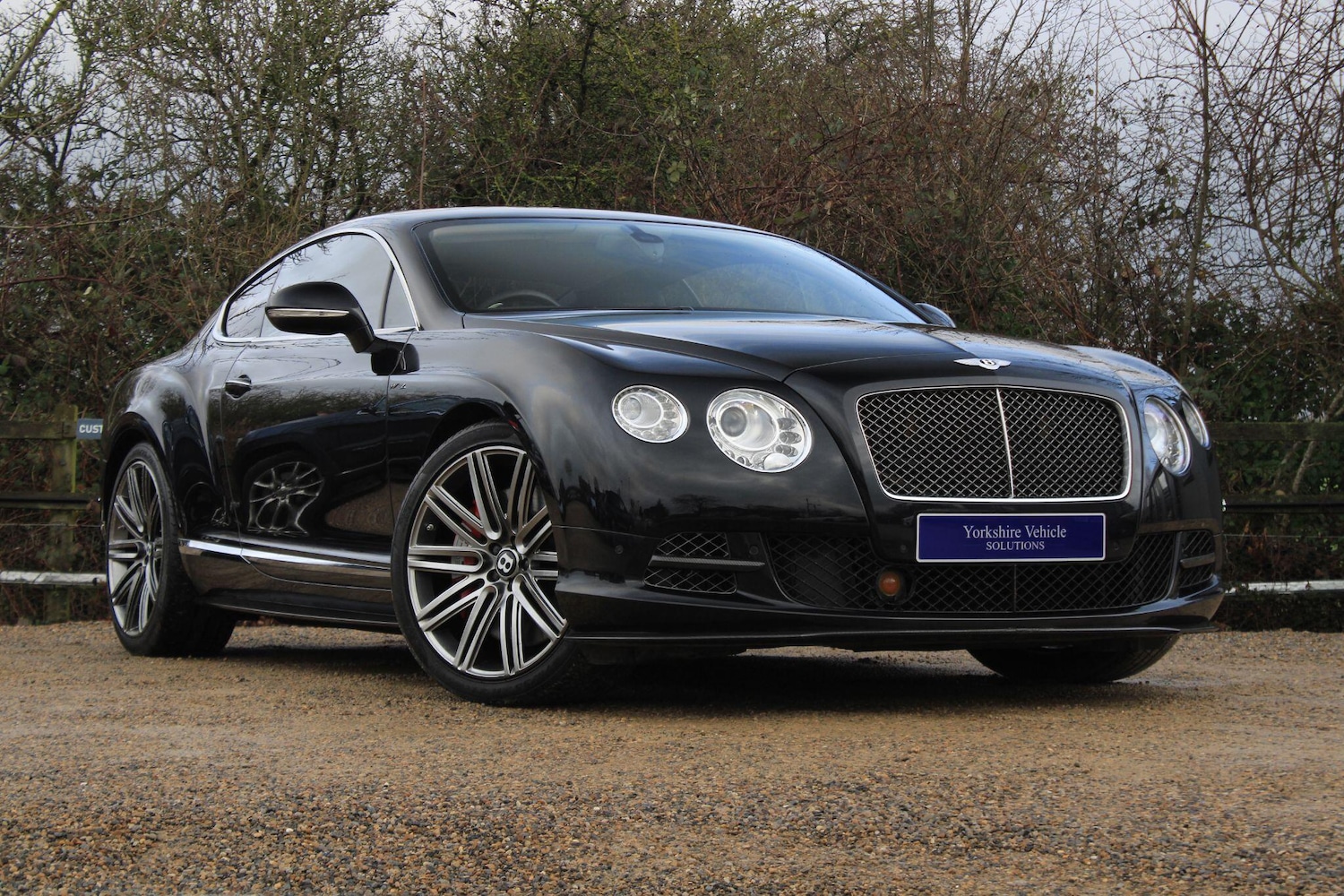 Used Bentley Continental 2013 for sale - 77305856: Photo 14