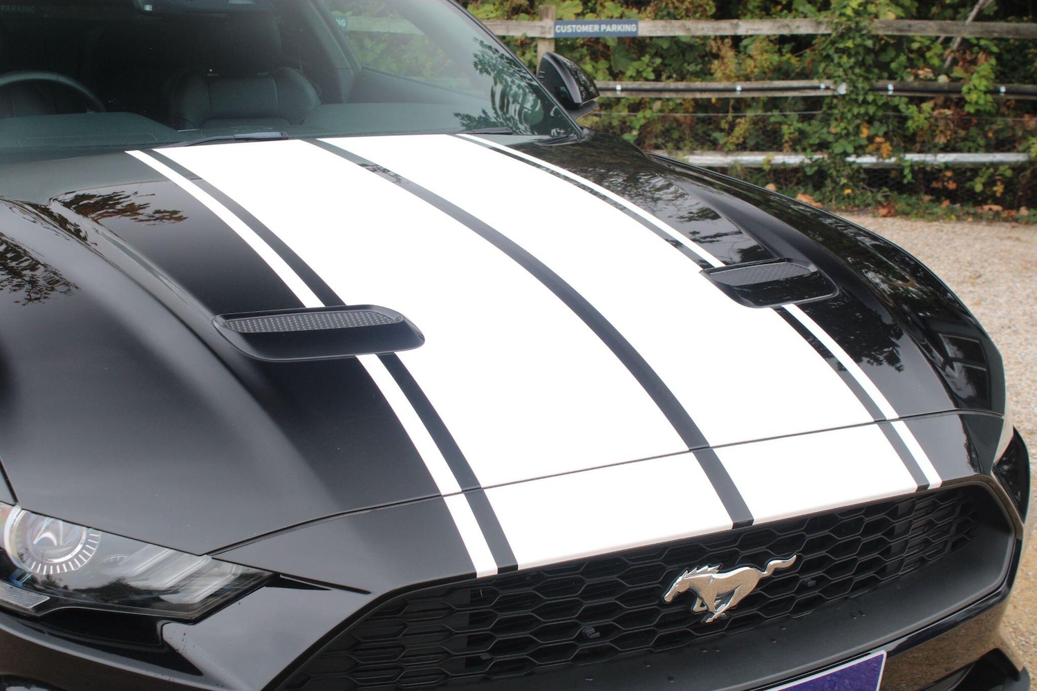 Used Ford Mustang 2020 for sale - 76992886: Photo 13