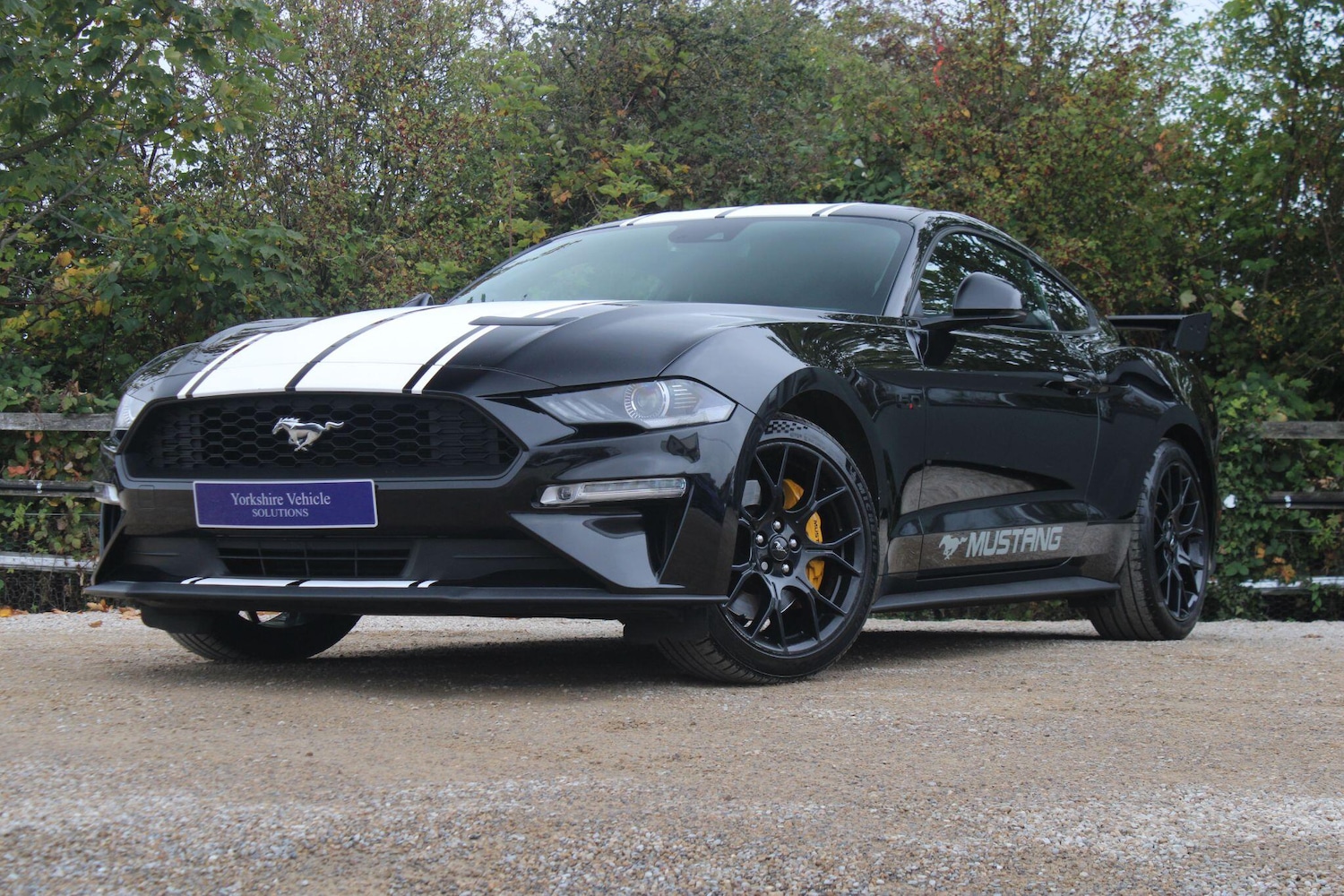 Used Ford Mustang 2020 for sale - 76992886: Photo 15