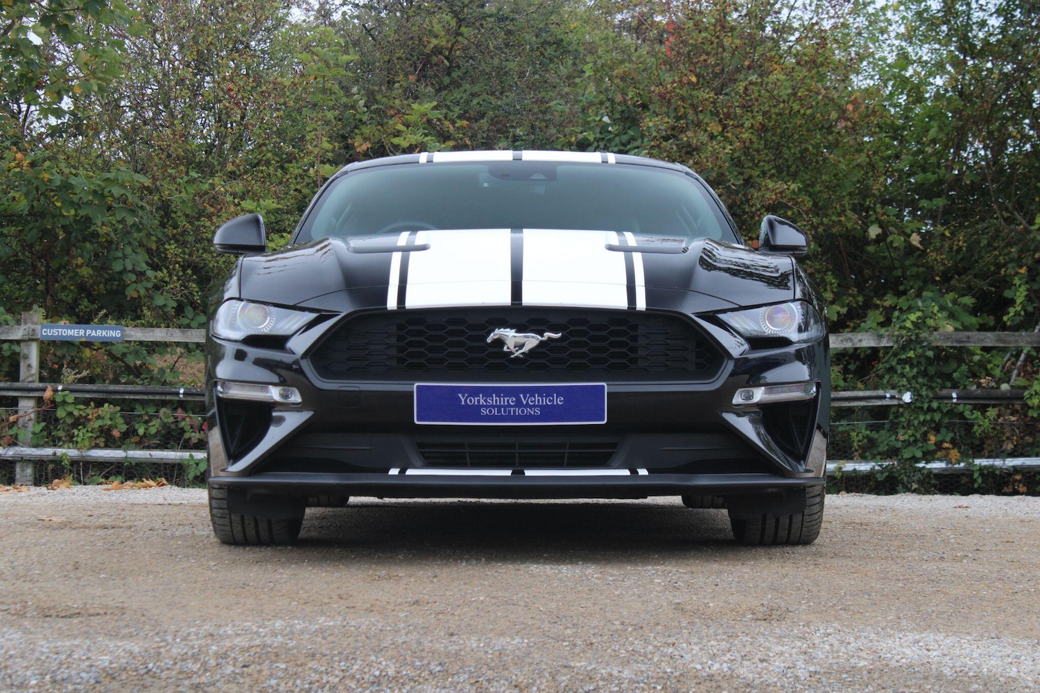 Used Ford Mustang 2020 for sale - 76992886: Photo 41