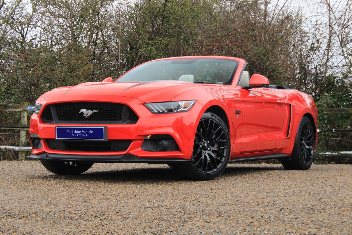 Used Ford Mustang 2017 for sale - 77783198: Photo 20