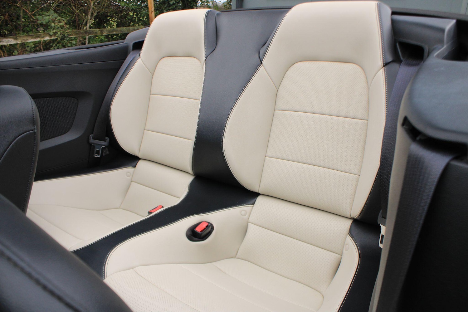 Used Ford Mustang 2017 for sale - 77783198: Photo 26