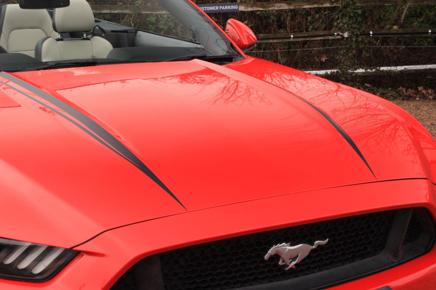 Used Ford Mustang 2017 for sale - 77783198: Photo 39