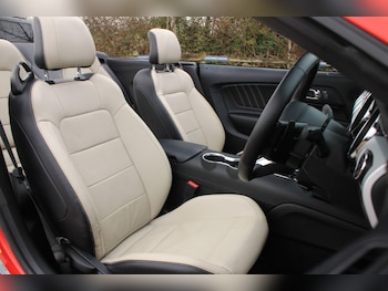 Used Ford Mustang 2017 for sale - 77783198: Photo